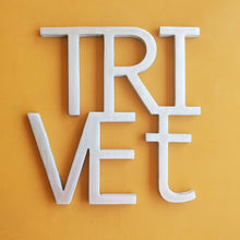Load image into Gallery viewer, Trivet #1

